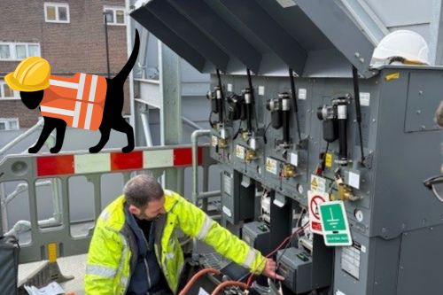 A picture of a colleague in front of a machine. The Whittington cat is nearby.